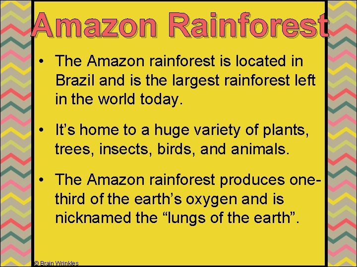 Amazon Rainforest • The Amazon rainforest is located in Brazil and is the largest