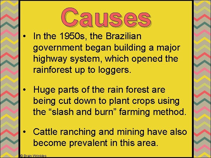 Causes • In the 1950 s, the Brazilian government began building a major highway