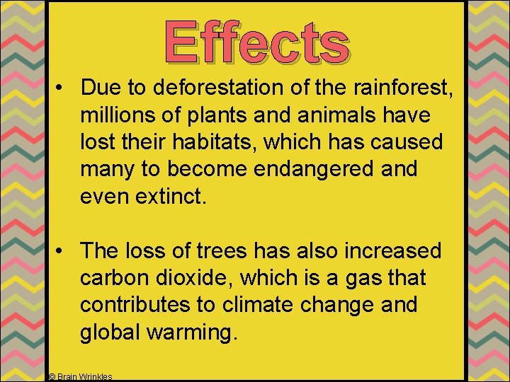 Effects • Due to deforestation of the rainforest, millions of plants and animals have