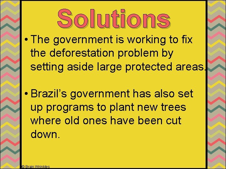 Solutions • The government is working to fix the deforestation problem by setting aside