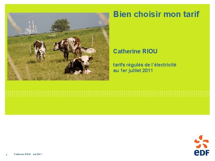 Bien choisir mon tarif Catherine RIOU tarifs régulés de l’électricité au 1 er juillet