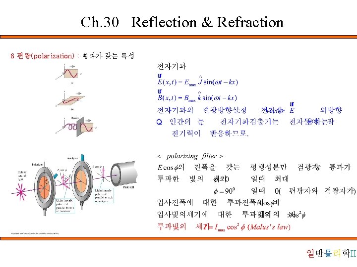 Ch. 30 Reflection & Refraction 6 편광(polarization) : 횡파가 갖는 특성 일반물리학II 