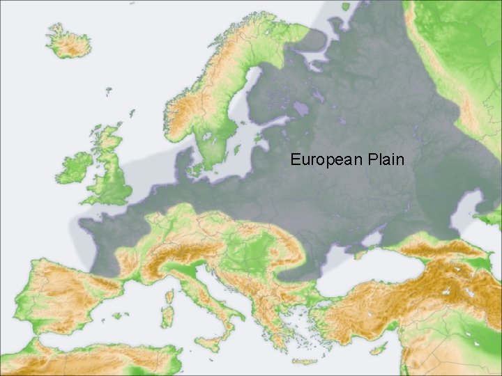 European Plain 