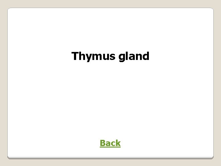 Thymus gland Back 