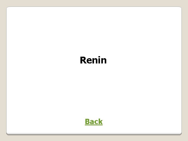 Renin Back 