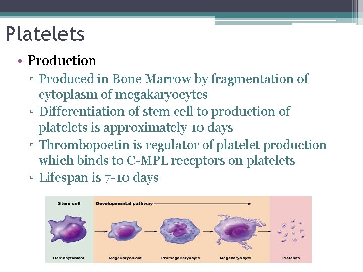 Platelets • Production ▫ Produced in Bone Marrow by fragmentation of cytoplasm of megakaryocytes