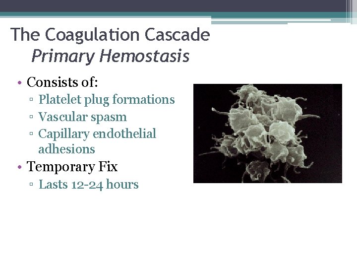 The Coagulation Cascade Primary Hemostasis • Consists of: ▫ Platelet plug formations ▫ Vascular