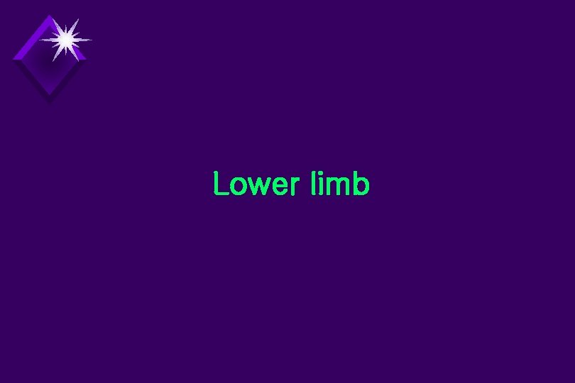 Lower limb 
