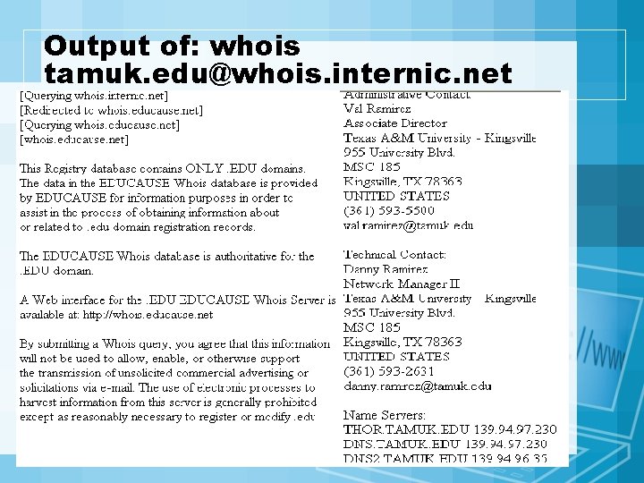 Output of: whois tamuk. edu@whois. internic. net 