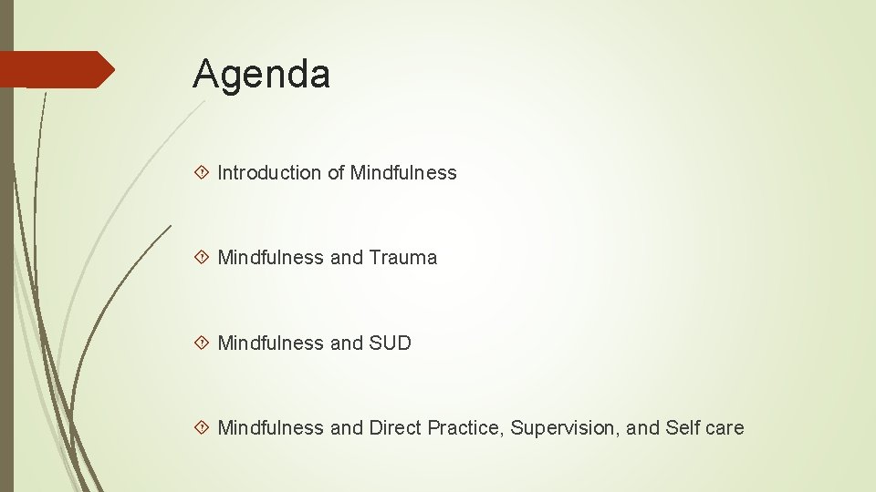 Agenda Introduction of Mindfulness and Trauma Mindfulness and SUD Mindfulness and Direct Practice, Supervision,