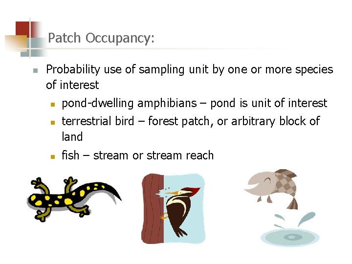 Patch Occupancy: n Probability use of sampling unit by one or more species of