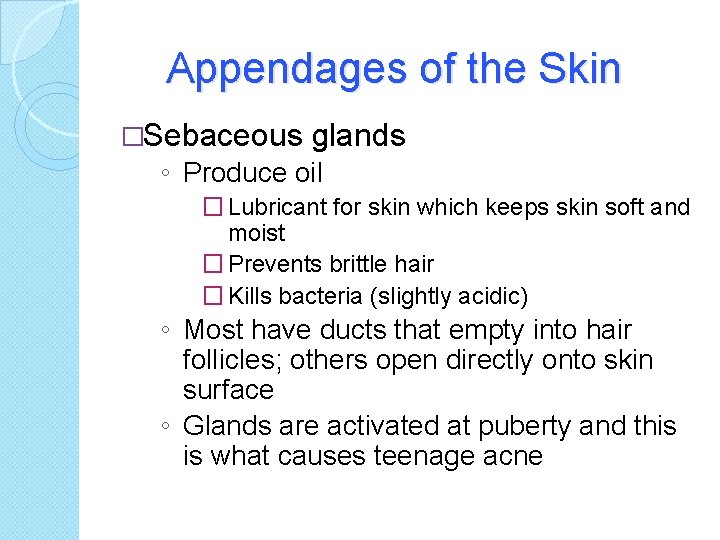 Appendages of the Skin �Sebaceous glands ◦ Produce oil � Lubricant for skin which