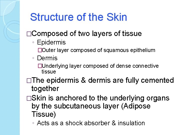 Structure of the Skin �Composed of two layers of tissue ◦ Epidermis �Outer layer