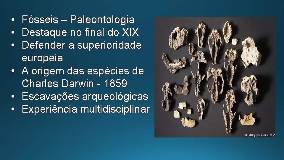  • Fósseis – Paleontologia • Destaque no final do XIX • Defender a