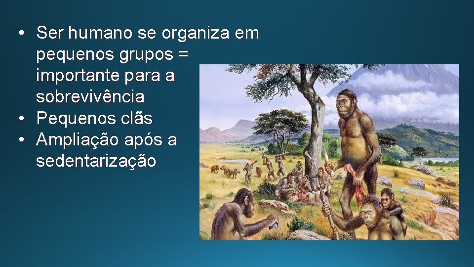  • Ser humano se organiza em pequenos grupos = importante para a sobrevivência