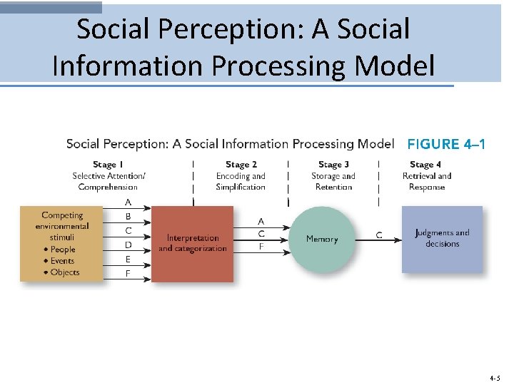 Social Perception: A Social Information Processing Model 4 -5 