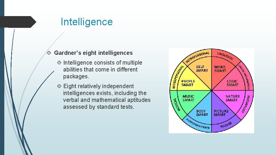 Intelligence Gardner’s eight intelligences Intelligence consists of multiple abilities that come in different packages.