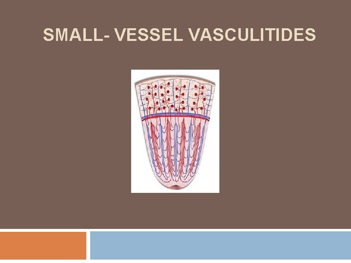 SMALL- VESSEL VASCULITIDES 