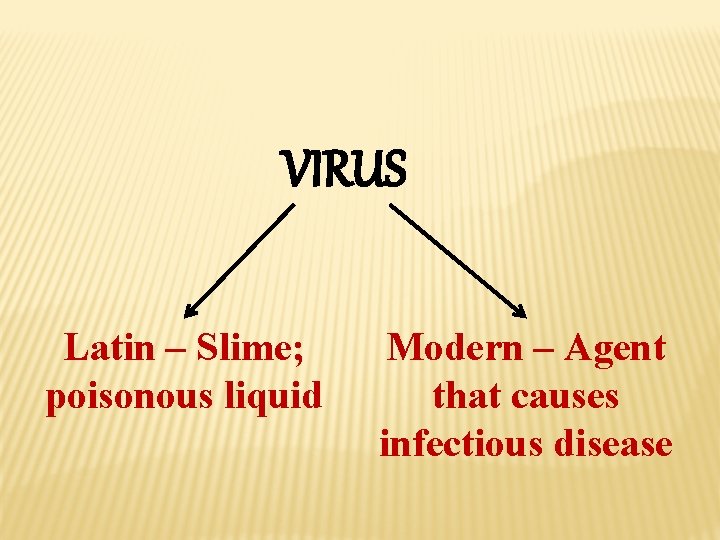 VIRUS Latin – Slime; poisonous liquid Modern – Agent that causes infectious disease 