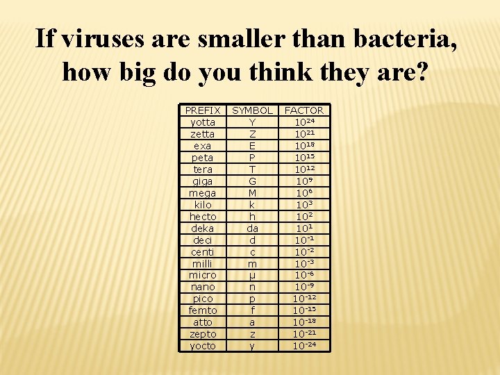 If viruses are smaller than bacteria, how big do you think they are? PREFIX