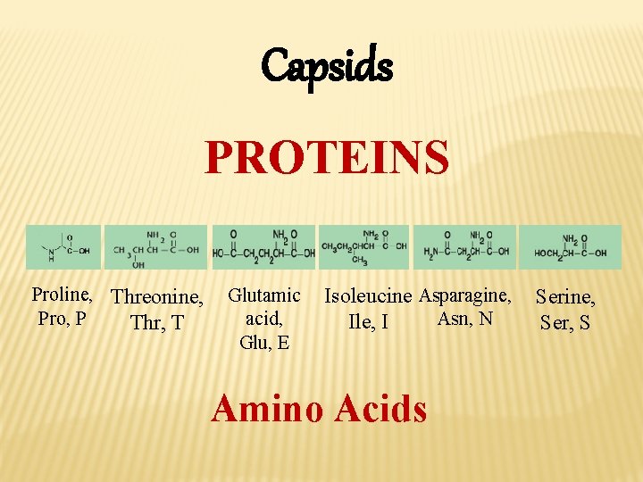 Capsids PROTEINS Proline, Threonine, Pro, P Thr, T Glutamic acid, Glu, E Isoleucine Asparagine,