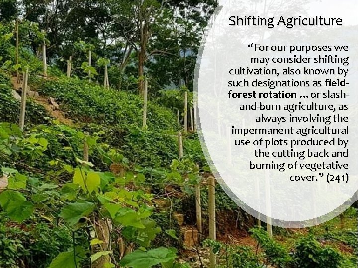 Shifting Agriculture “For our purposes we may consider shifting cultivation, also known by such
