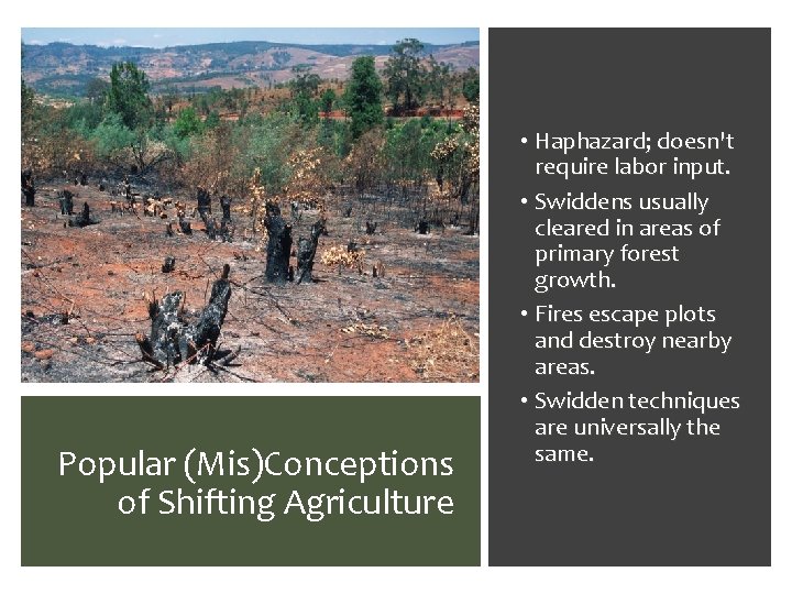 Popular (Mis)Conceptions of Shifting Agriculture • Haphazard; doesn't require labor input. • Swiddens usually