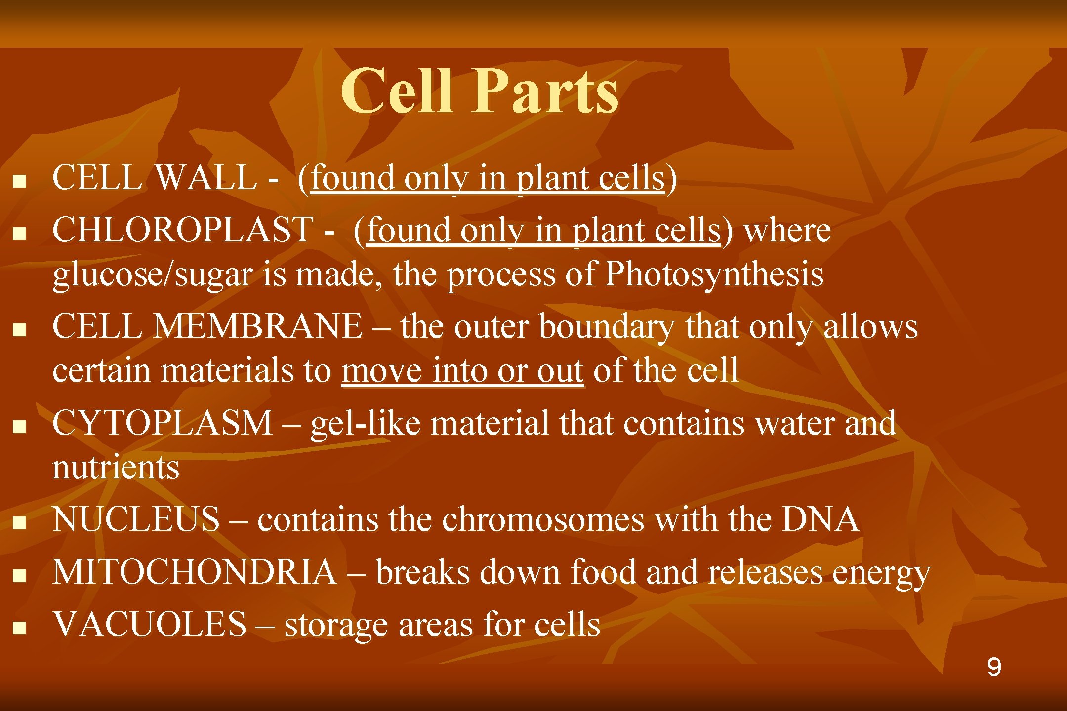 Cell Parts n n n n CELL WALL - (found only in plant cells)