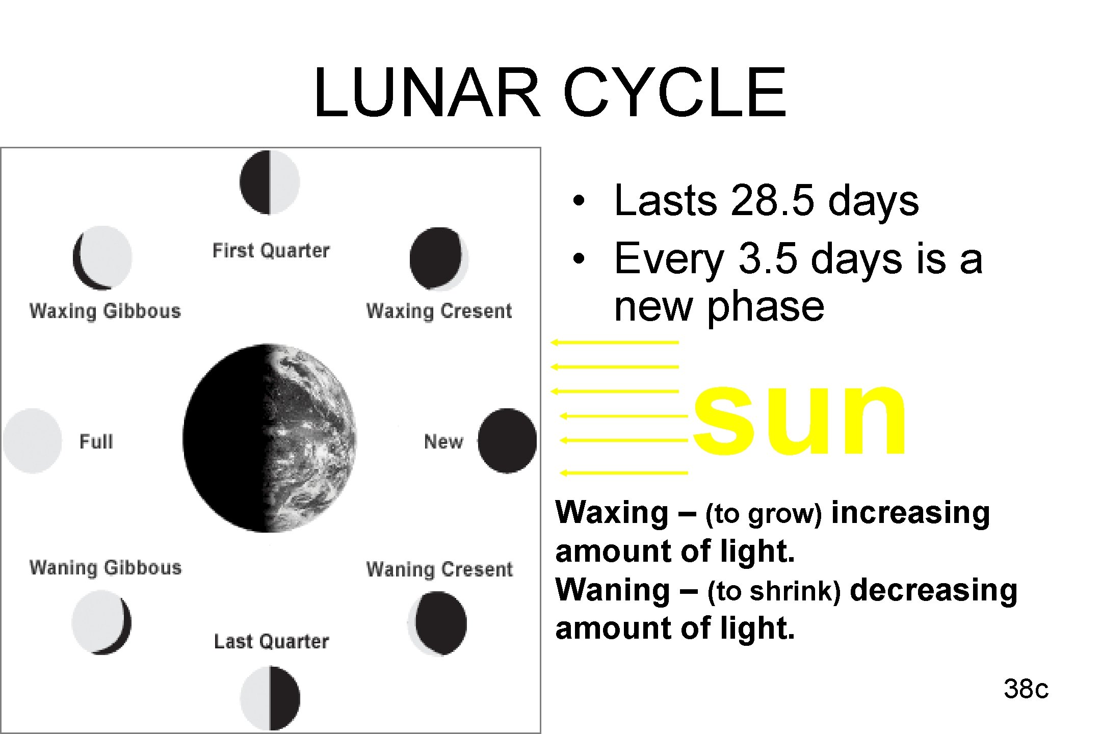 LUNAR CYCLE • Lasts 28. 5 days • Every 3. 5 days is a