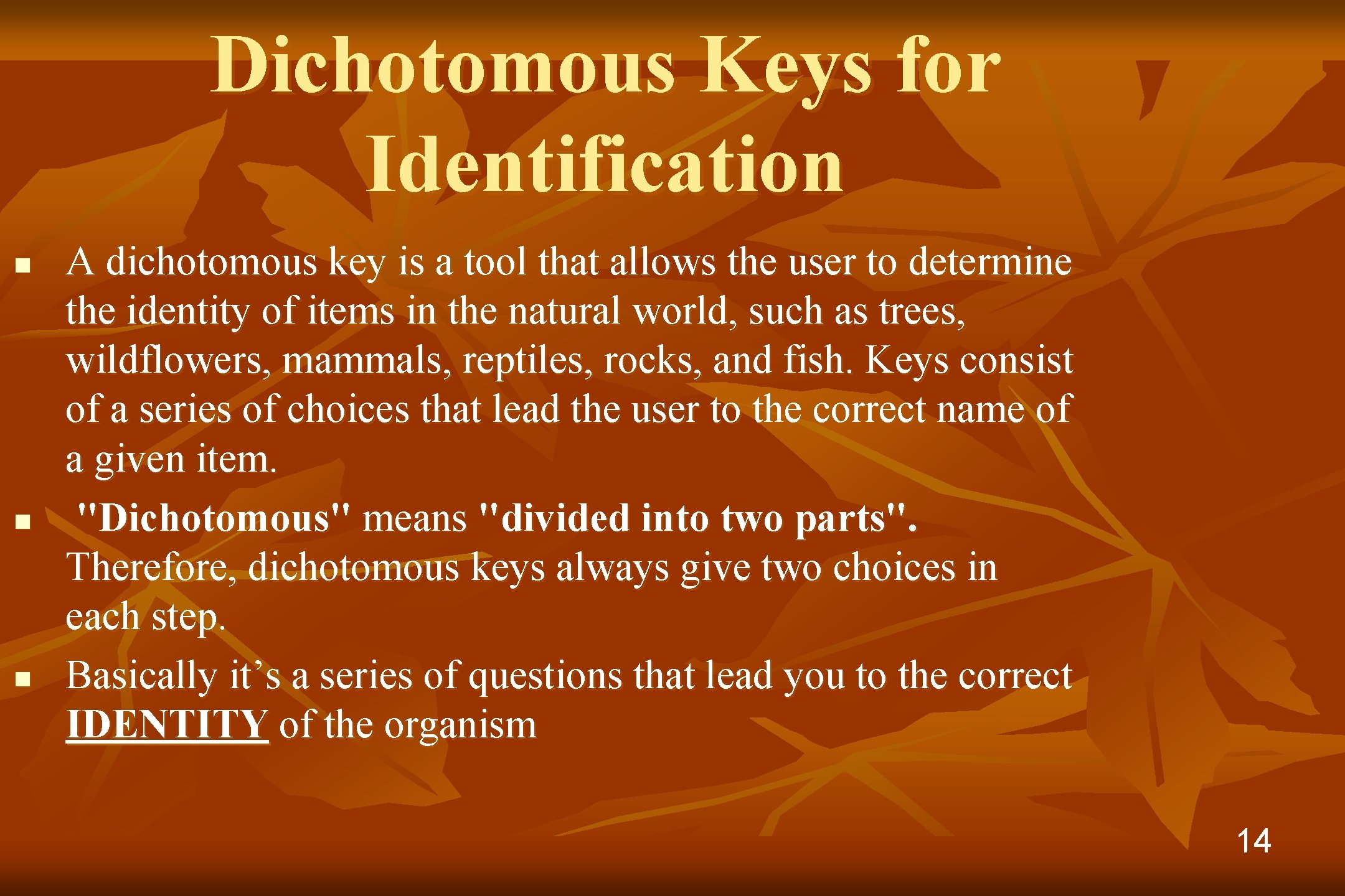 Dichotomous Keys for Identification n A dichotomous key is a tool that allows the