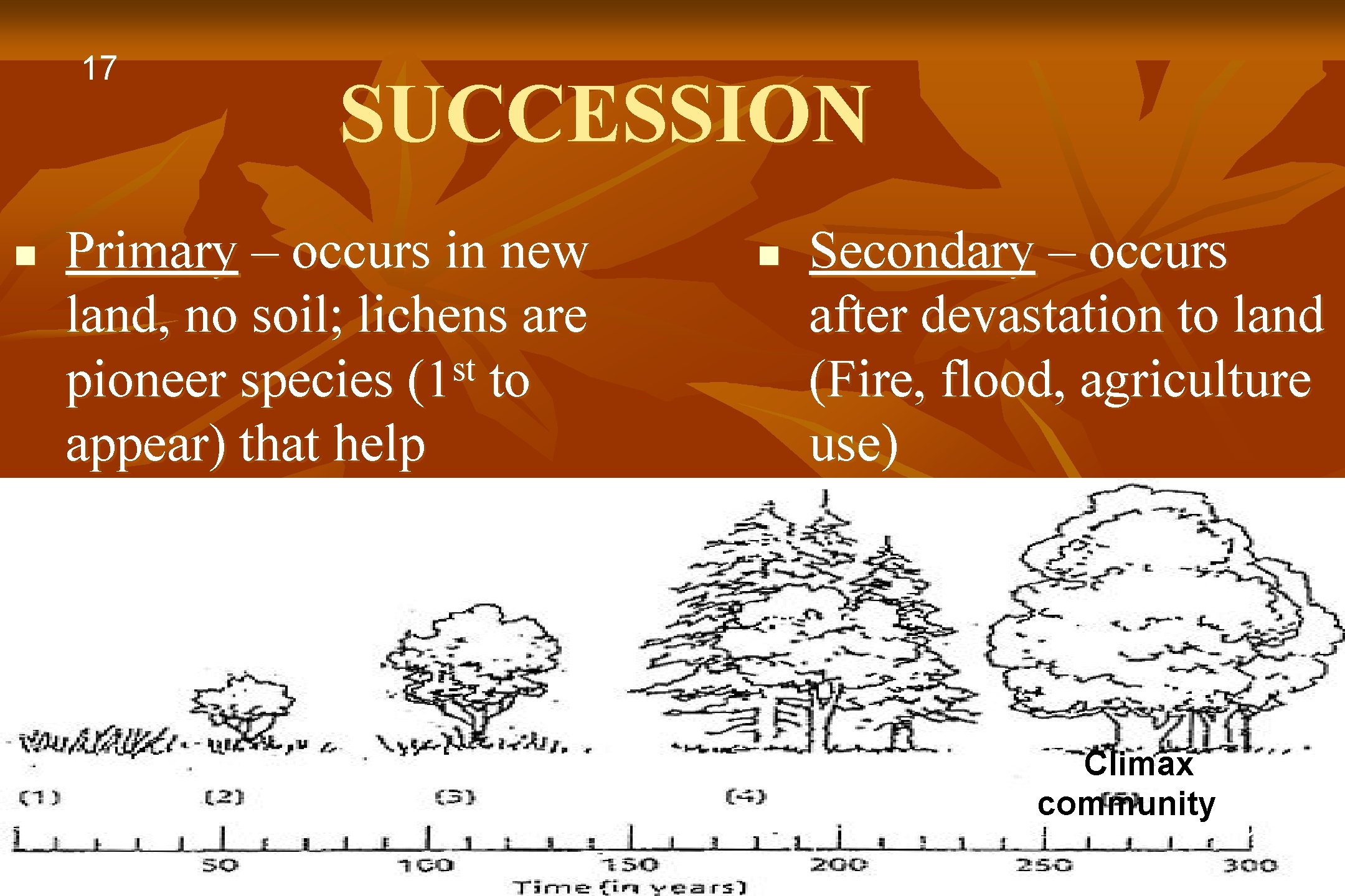 17 n SUCCESSION Primary – occurs in new land, no soil; lichens are st