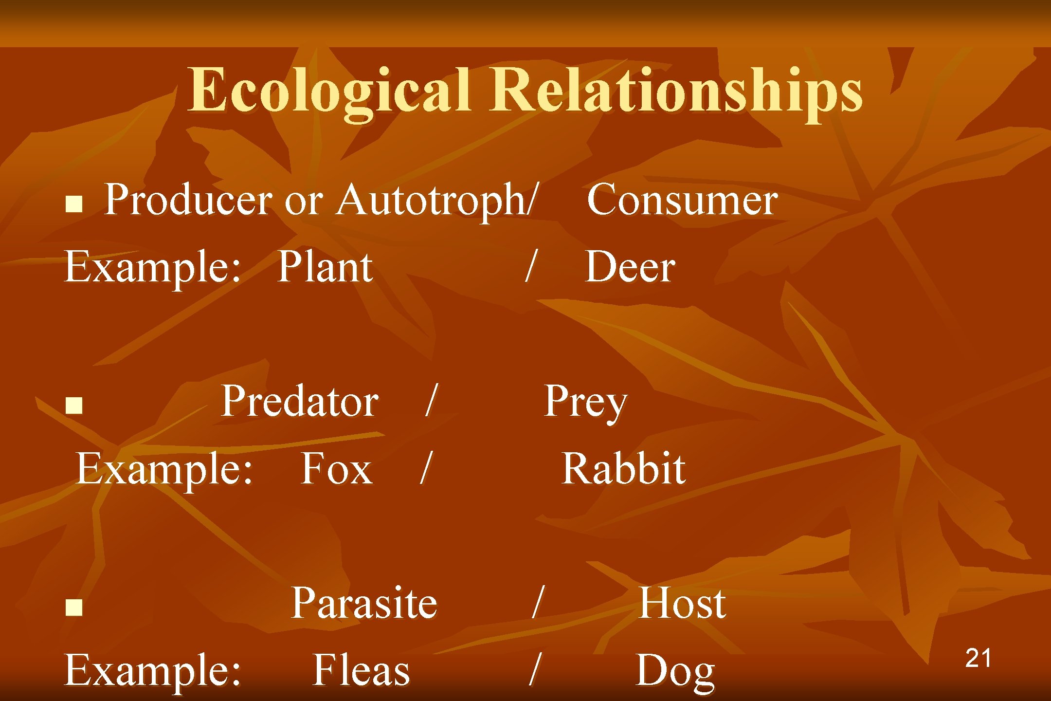 Ecological Relationships Producer or Autotroph/ Consumer Example: Plant / Deer n Predator / Example: