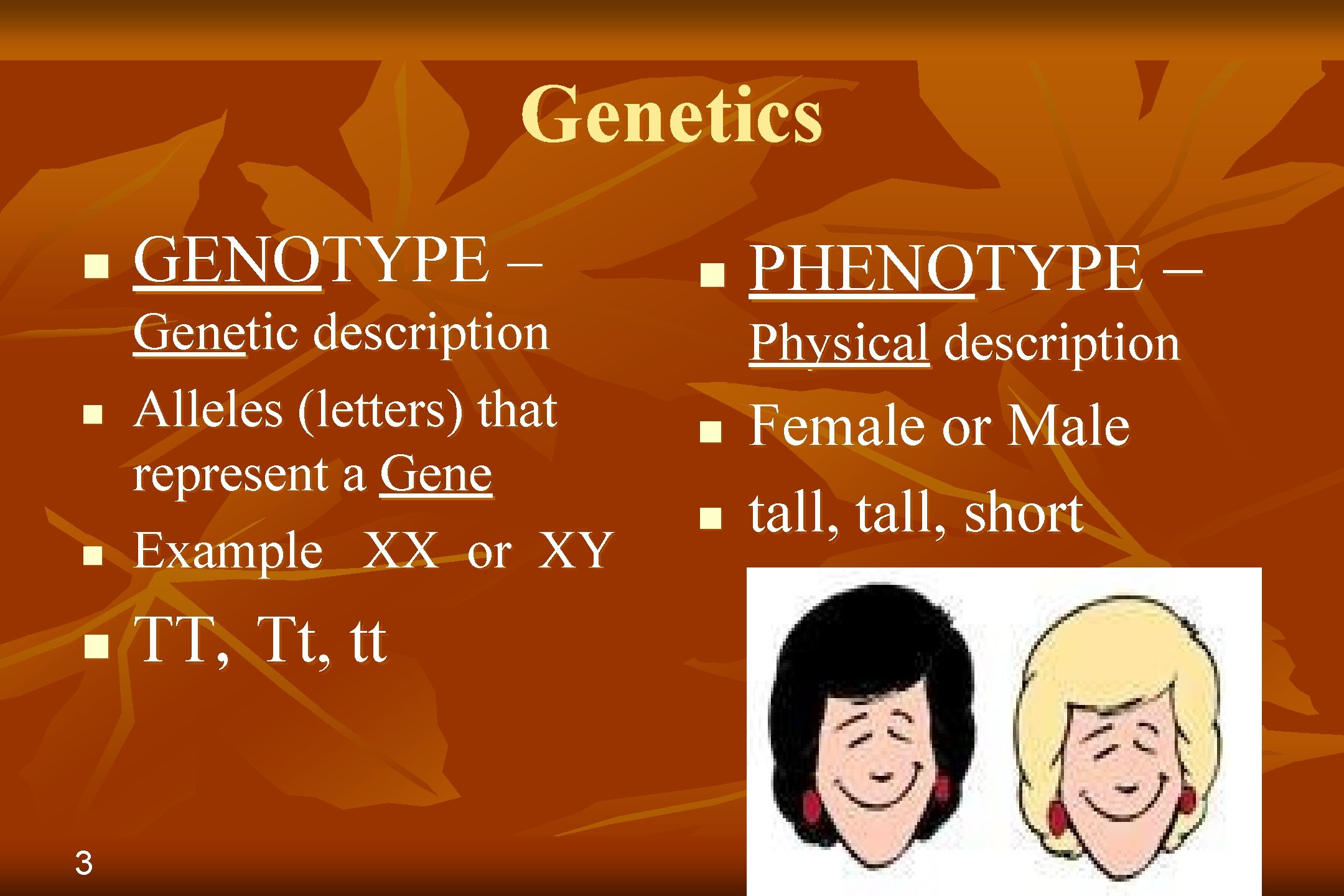 Genetics n GENOTYPE – n Genetic description Alleles (letters) that represent a Gene Example