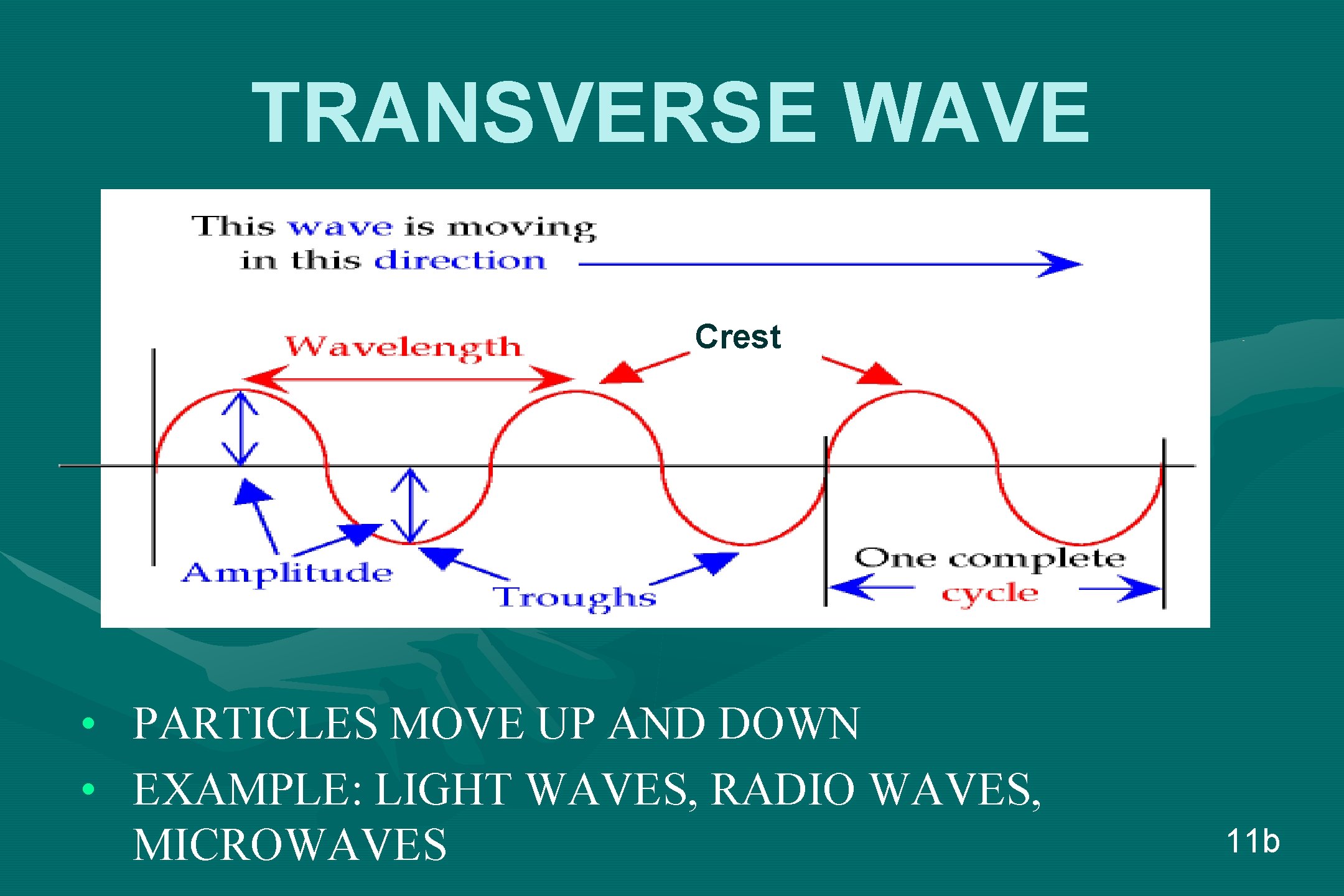 TRANSVERSE WAVE Crest • • PARTICLES MOVE UP AND DOWN EXAMPLE: LIGHT WAVES, RADIO