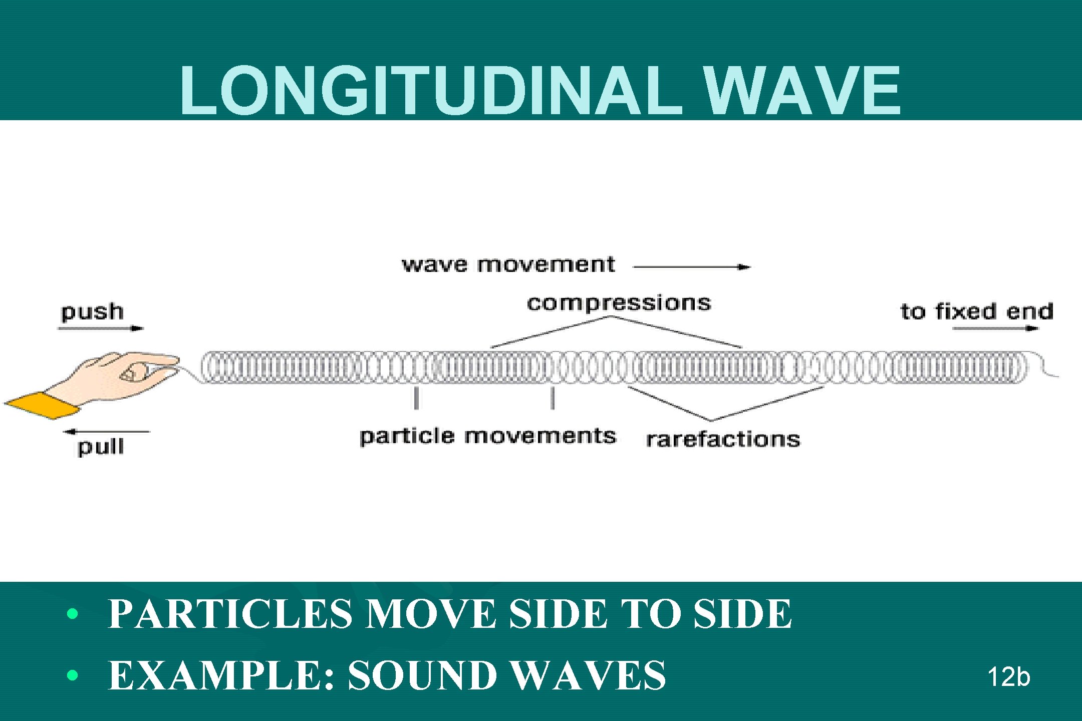 LONGITUDINAL WAVE • • PARTICLES MOVE SIDE TO SIDE EXAMPLE: SOUND WAVES 12 b