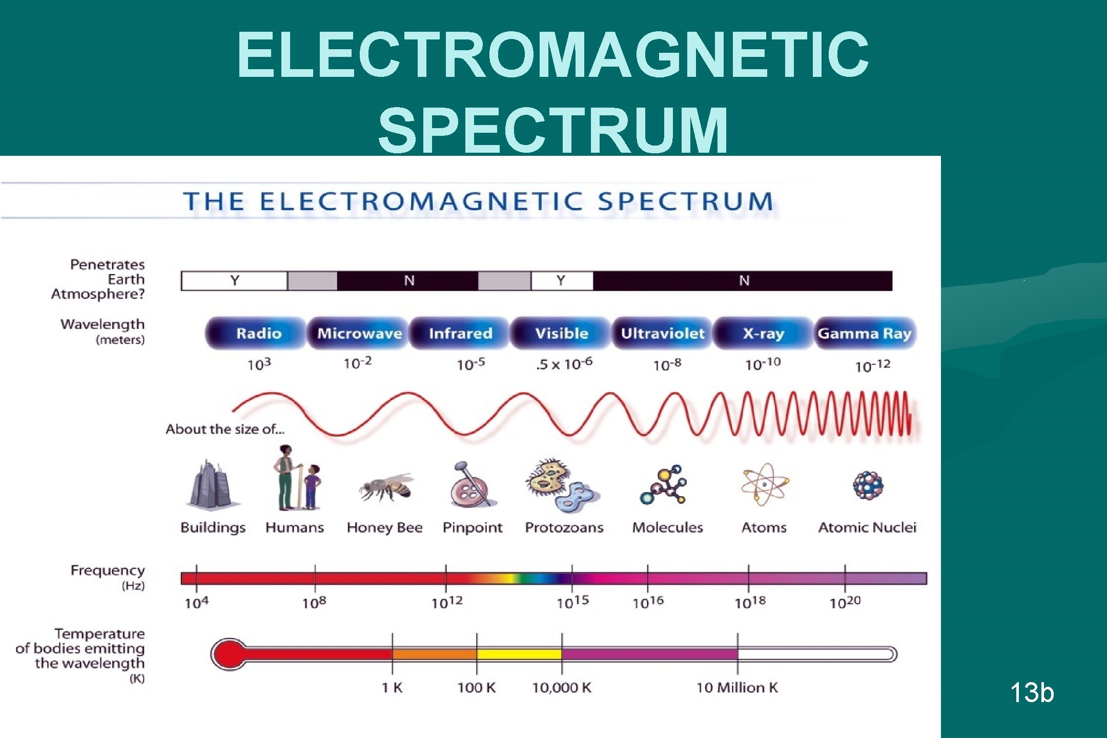 ELECTROMAGNETIC SPECTRUM 13 b 