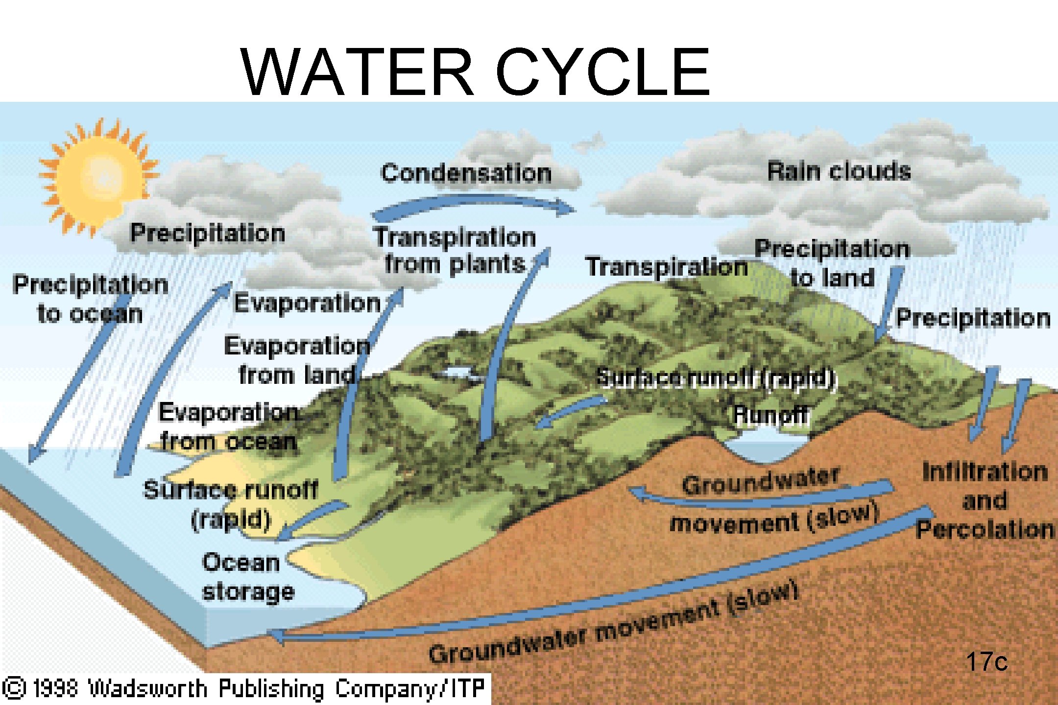 WATER CYCLE 17 c 