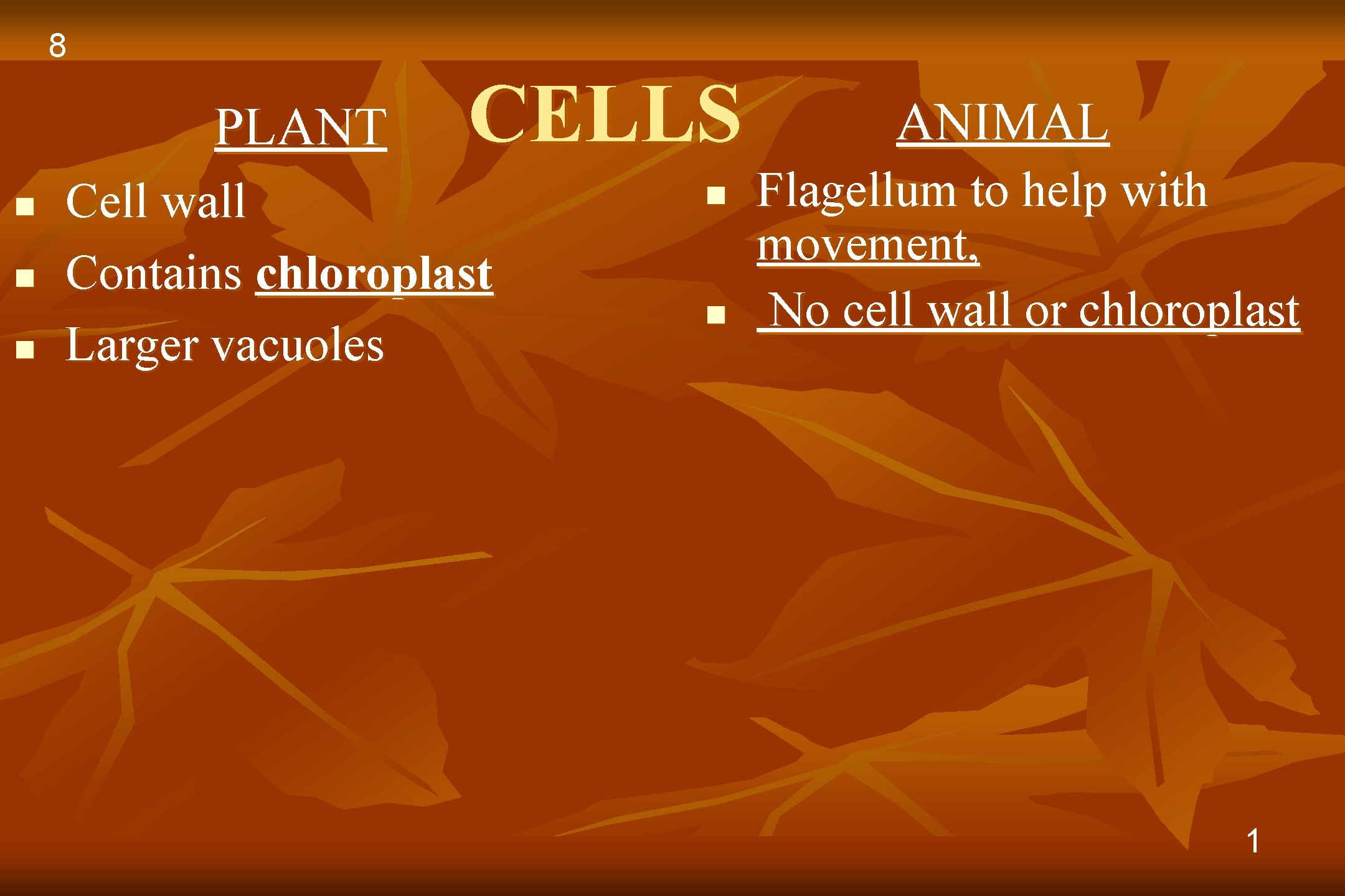 8 PLANT n n n CELLS Cell wall Contains chloroplast Larger vacuoles n n