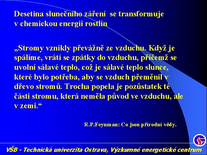 Desetina slunečního záření se transformuje v chemickou energii rostlin „Stromy vznikly převážně ze vzduchu.