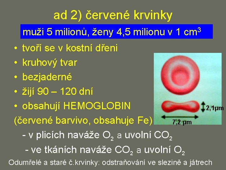 ad 2) červené krvinky muži 5 milionů, ženy 4, 5 milionu v 1 cm