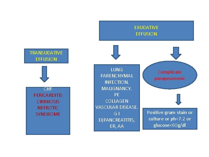 EXUDATIVE EFFUSION TRANSUDATIVE EFFUSION CHF PERICARDITIS CIRRHOSIS NEFROTIC SYNDROME PRI LUNG PARENCHYMAL INFECTION. MALIGNANCY.