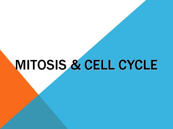 MITOSIS & CELL CYCLE 
