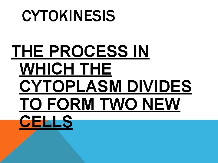 CYTOKINESIS THE PROCESS IN WHICH THE CYTOPLASM DIVIDES TO FORM TWO NEW CELLS 