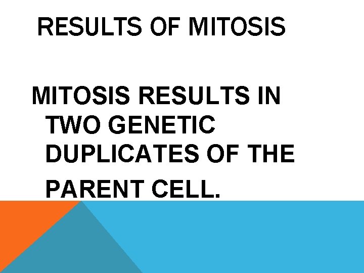 RESULTS OF MITOSIS RESULTS IN TWO GENETIC DUPLICATES OF THE PARENT CELL. 