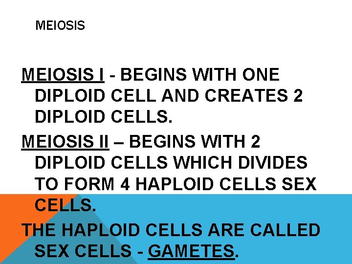MEIOSIS I - BEGINS WITH ONE DIPLOID CELL AND CREATES 2 DIPLOID CELLS. MEIOSIS