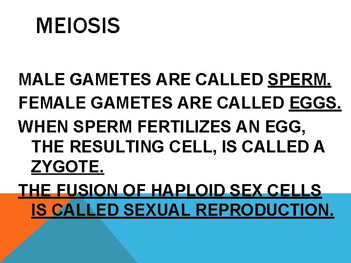 MEIOSIS MALE GAMETES ARE CALLED SPERM. FEMALE GAMETES ARE CALLED EGGS. WHEN SPERM FERTILIZES