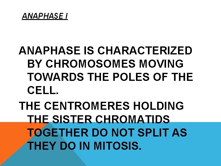 ANAPHASE IS CHARACTERIZED BY CHROMOSOMES MOVING TOWARDS THE POLES OF THE CELL. THE CENTROMERES