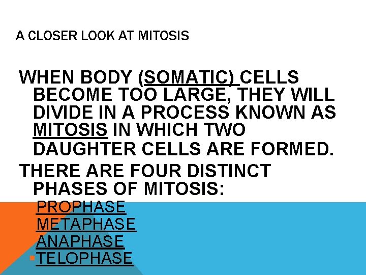 A CLOSER LOOK AT MITOSIS WHEN BODY (SOMATIC) CELLS BECOME TOO LARGE, THEY WILL