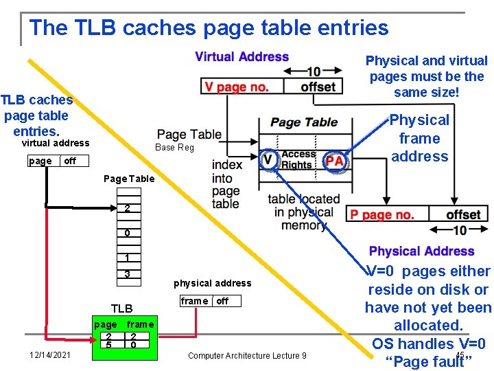 The TLB caches page table entries Physical and virtual pages must be the same