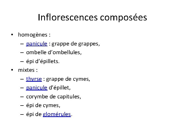 Inflorescences composées • homogènes : – panicule : grappe de grappes, – ombelle d’ombellules,